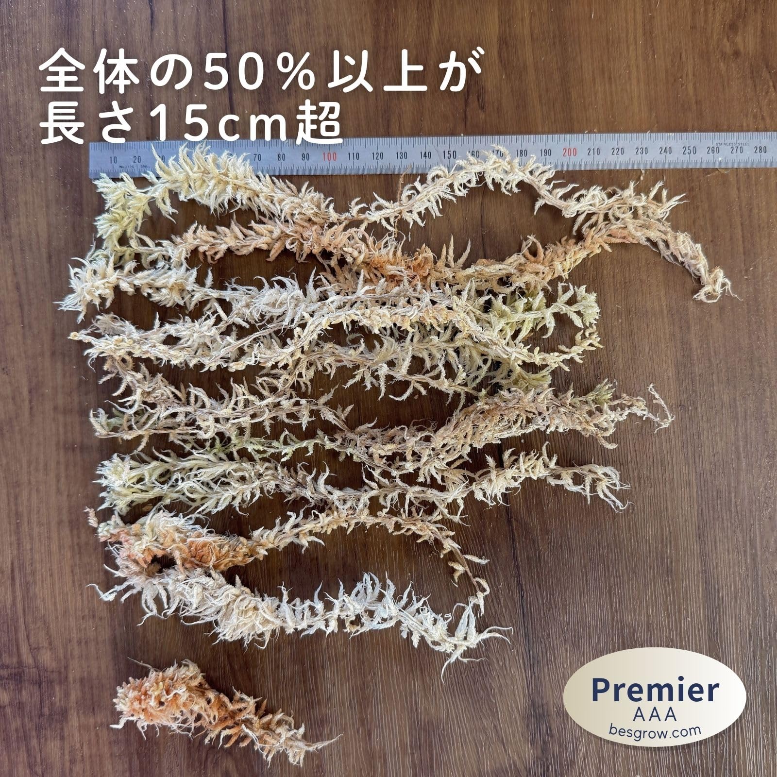 Amazon | ミズゴケ 園芸 水苔 ニュージーランド産 AAA ビカクシダ 胡蝶