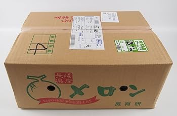 長崎県島原半島産タカミメロン6玉入×2箱ミックス 楽天市場】【ふるさと納税】 先行予約 タカミメロン 2玉 / 3〜5