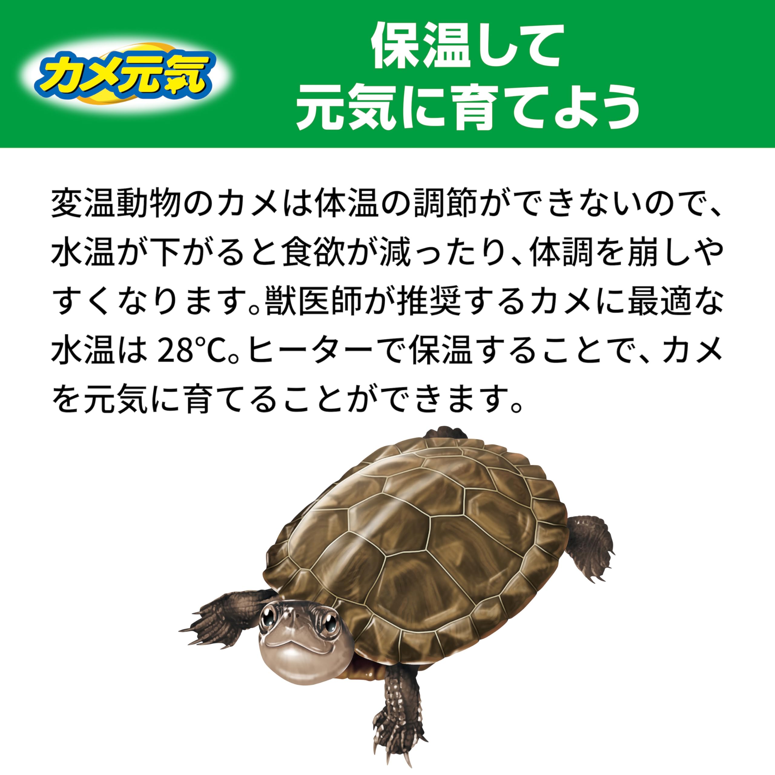 Amazon | GEX カメ元気オートヒーター 55 28℃自動保温 縦横設置 安全