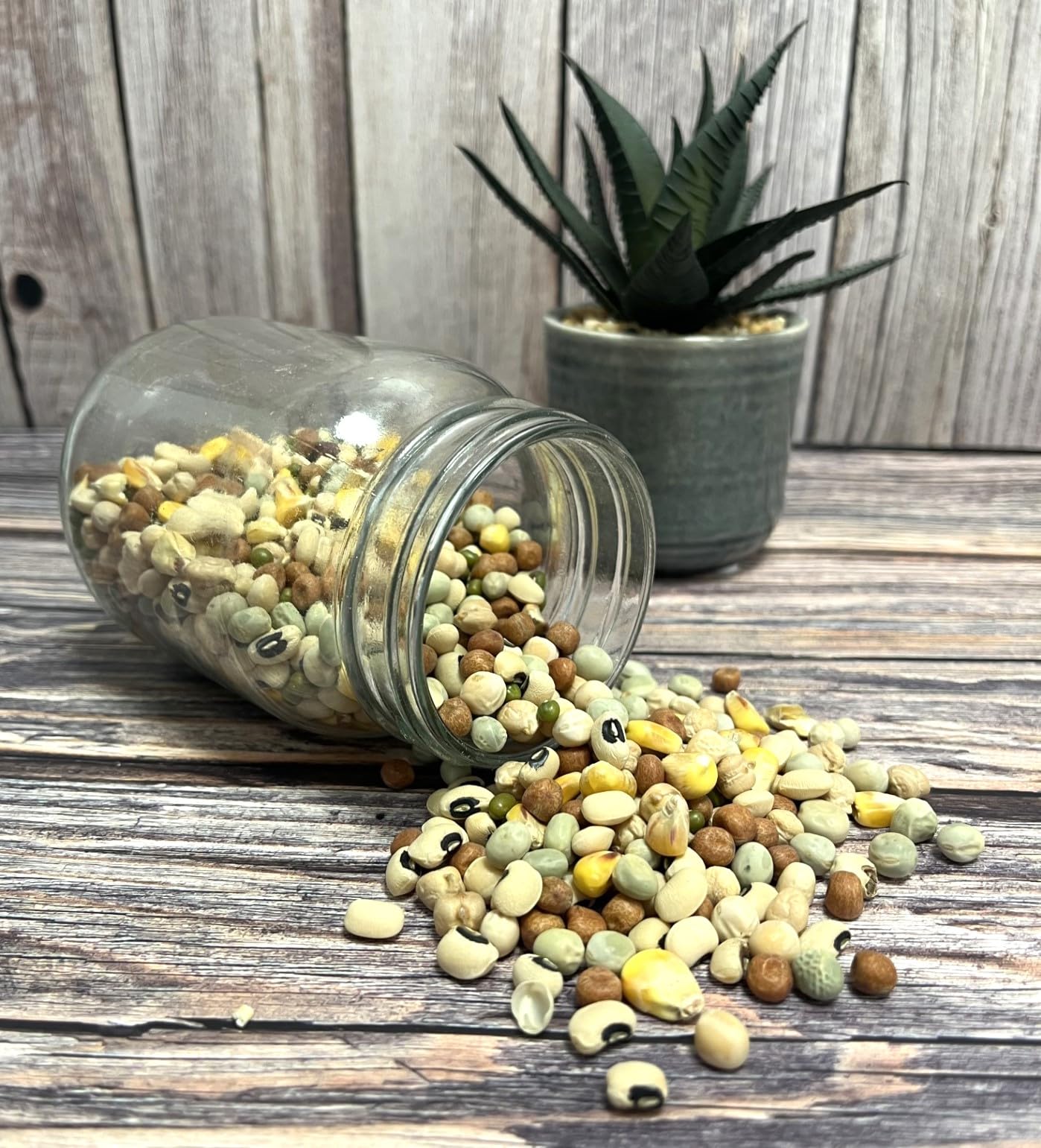500g Mixed Pulses for Parrots SJJ, 500 g (Pack of 1) - Image 3