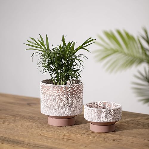 Miniatura 2 de UBEE Maceta de cerámica para plantas de interior | Maceta de 5.5 pulgadas + 4.9 pulgadas con platillo y orificio de drenaje para aloe, plantas de