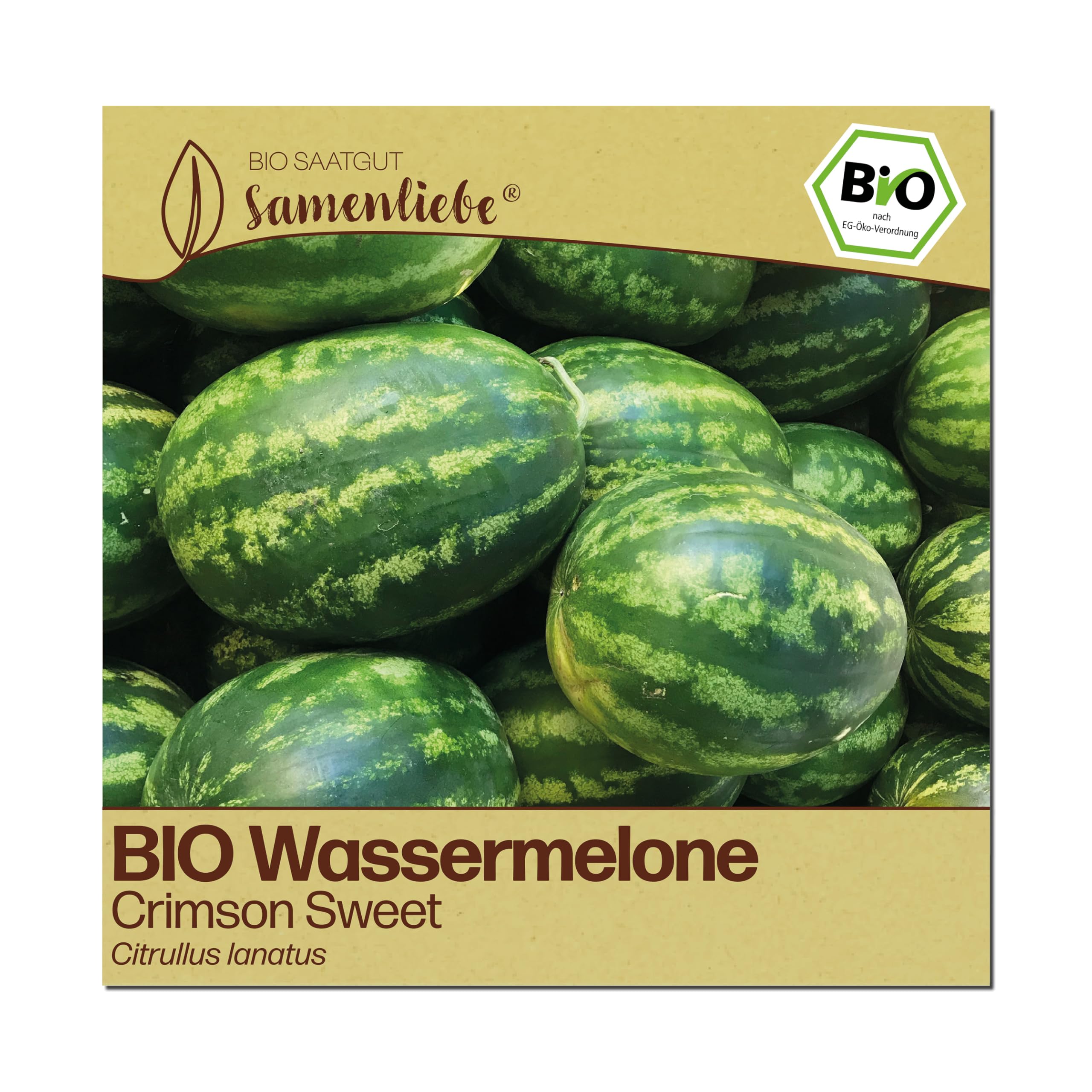 Samenliebe BIO Wassermelonen Samen | Melone Crimson Sweet - sehr süß & gestreift - samenfestes BIO Saatgut