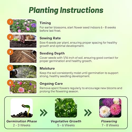 Miniatura 5 de Outsidepride 1000 semillas de aster, semillas de flores anuales, resistentes y aptas para polinizadores para plantar una mezcla vibrante, ideal para