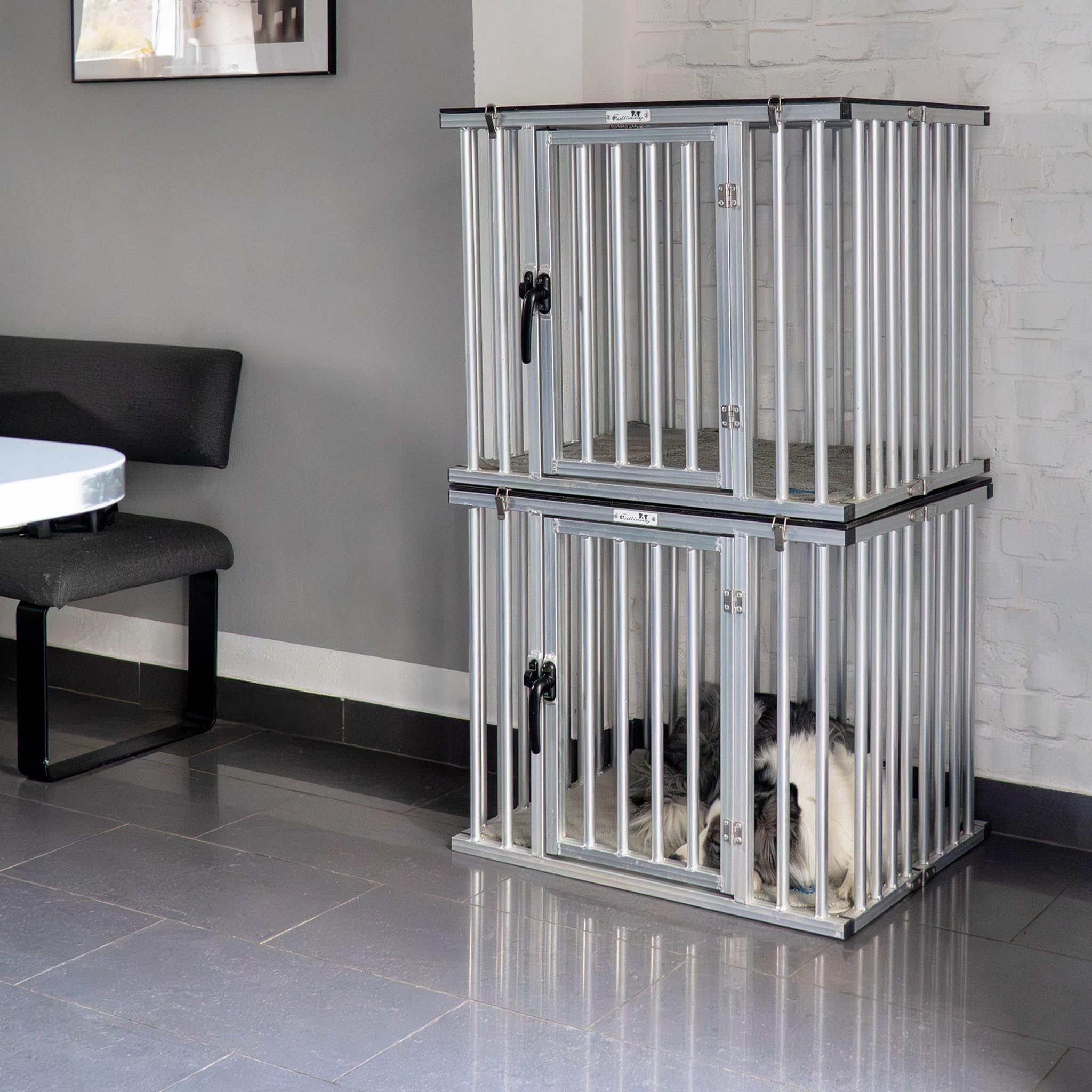 Cage de Transport en Aluminium pour Chiens à la Maison, Pliable, Portable et Poids léger (XL)