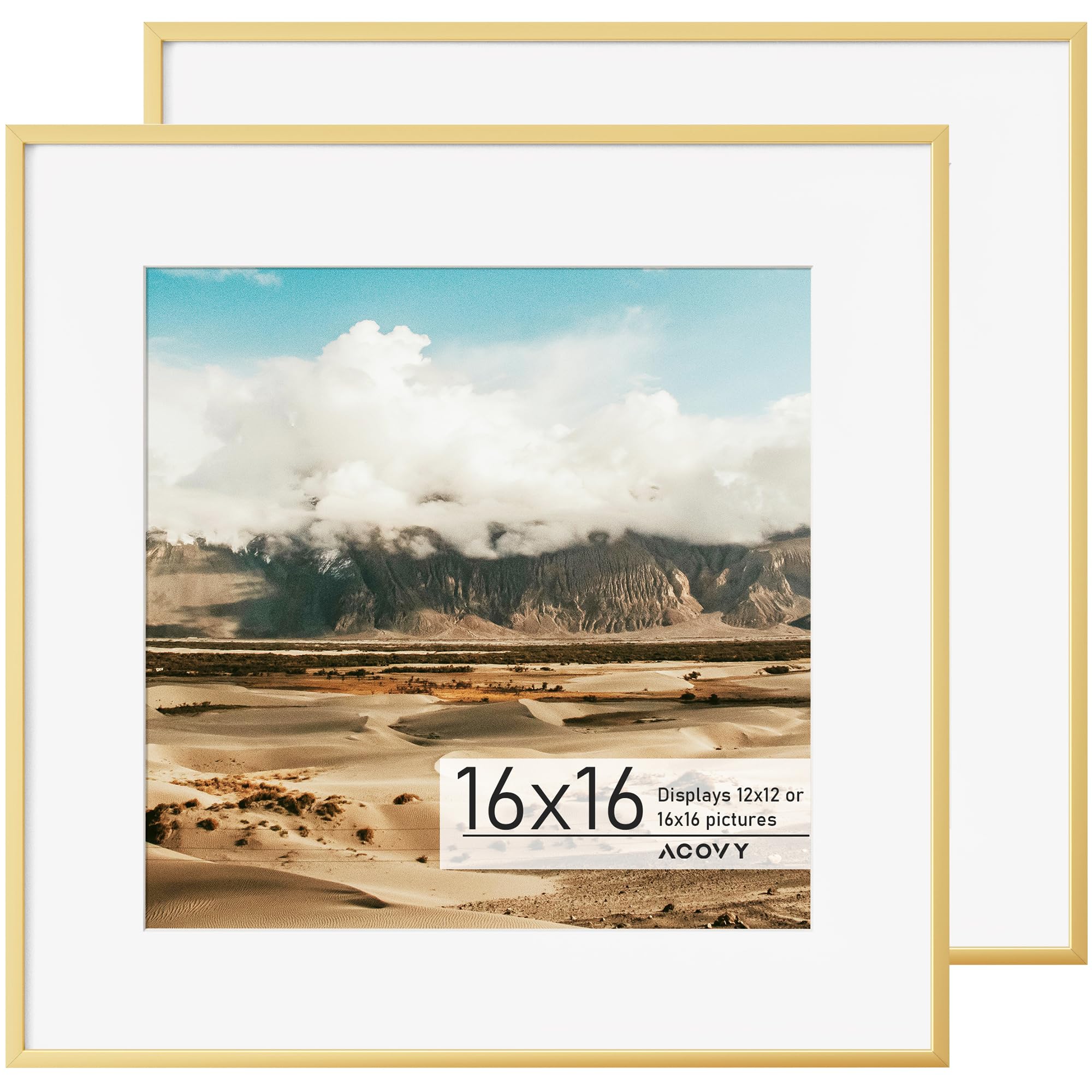 Acovy 16x16 Square Picture Frame, 16x16 Frame Matted to 12x12, Metal 16 x 16 Photo Frame for Wall Display,High Definition Tempered Glass, Wall Hook