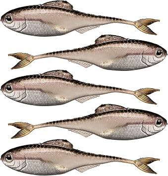 6th Sense Masterclass Fiction Shad Soft Plastic Swimbait Realistic Baitfish Profile Multiple Bass Fishing Lure