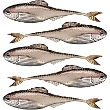 6th Sense Masterclass Fiction Shad Soft Plastic Swimbait Realistic Baitfish Profile Multiple Bass Fishing Lure