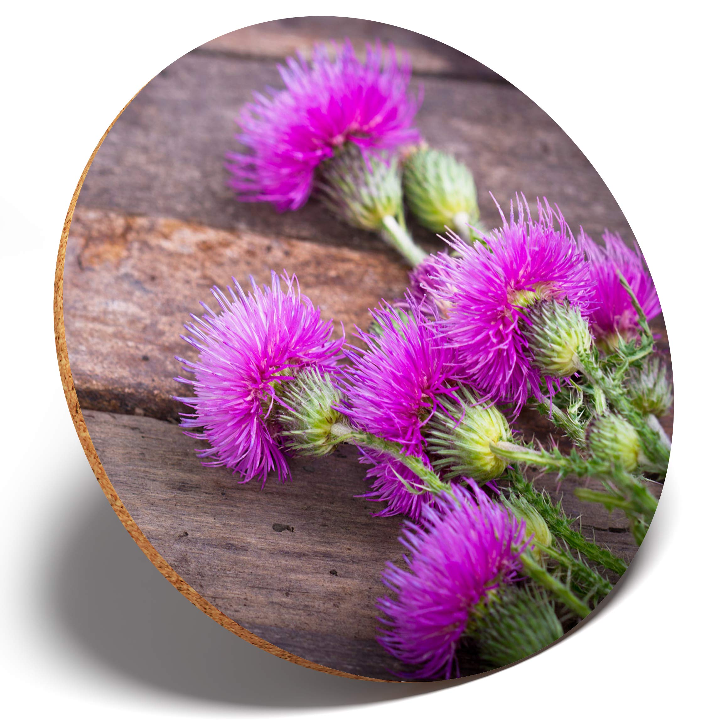 Destination Vinyl Coasters Multicolor 1 X Purple Scottish Thistle - Round Coaster Kitchen Student Kids #3645