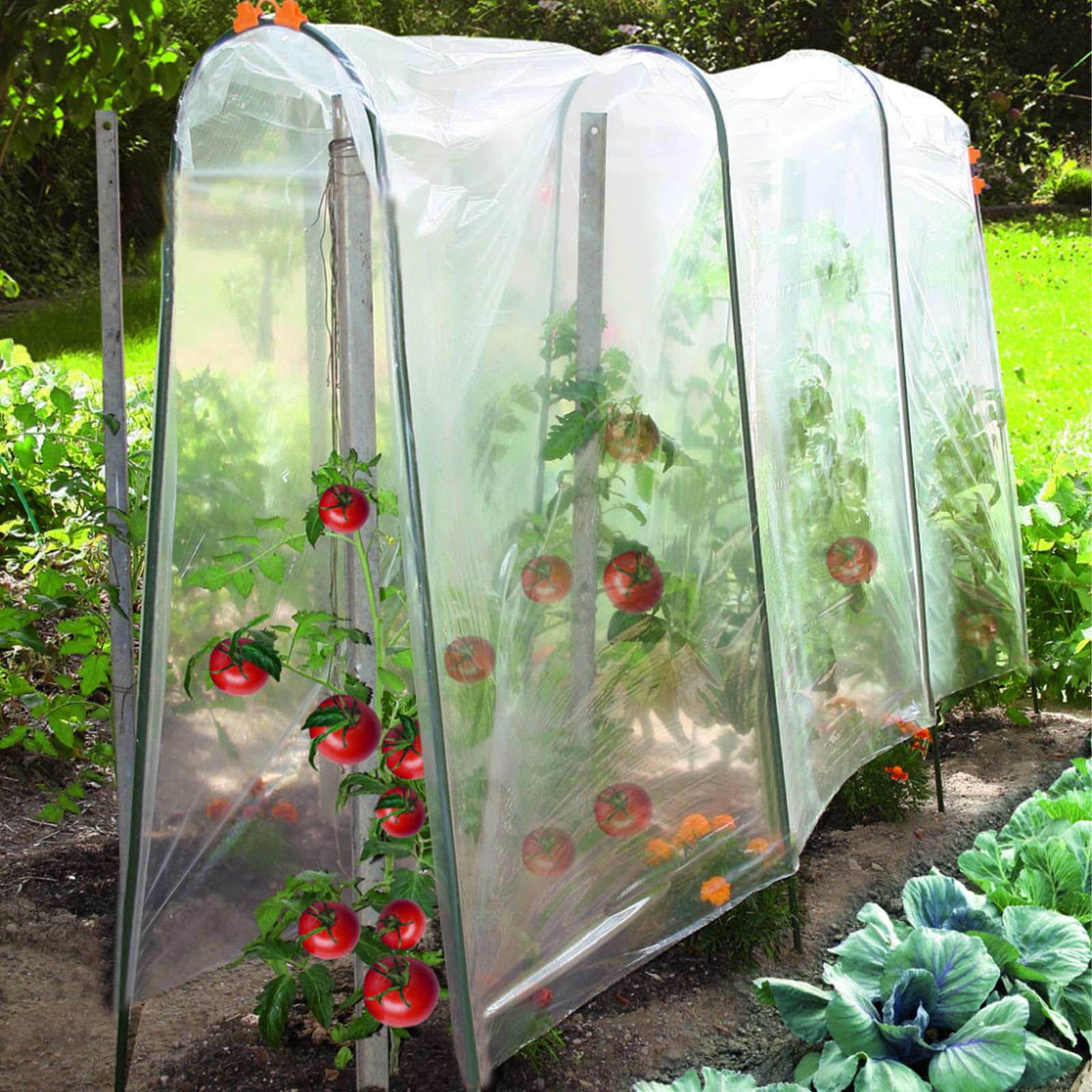 Film de serre en polyéthylène 2 x 3 m transparent indéchirable VOSSOT
