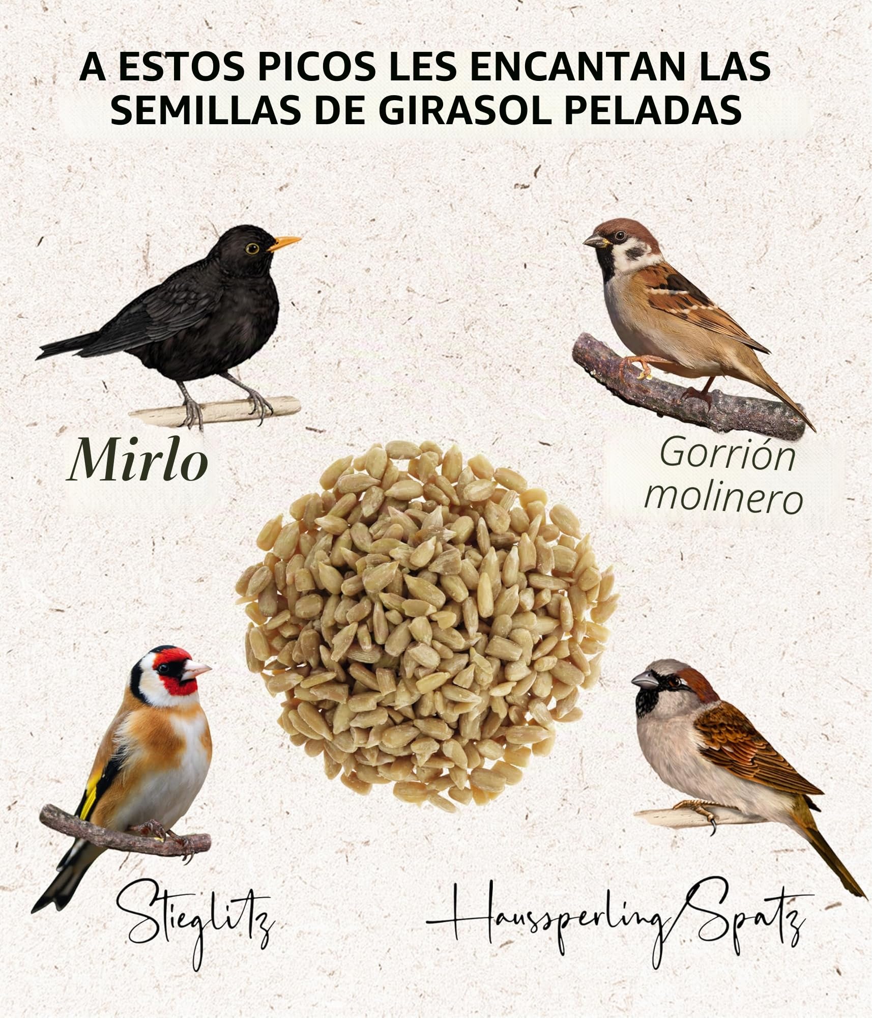 Dehner Natura Premium - Comida para Aves Silvestres sin cáscara, para Todo el año, Rica en proteínas, Alta energía, alimento para Aves Silvestres, 1 kg