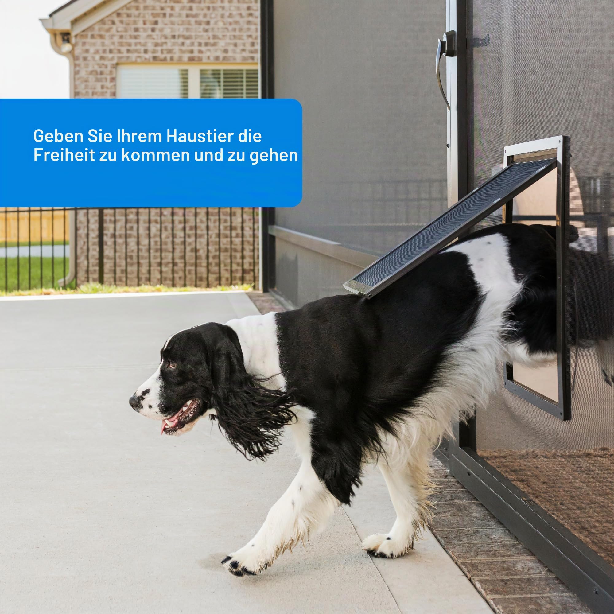 PetSafe Katzentür für Fliegengittertür – Größe S – für kleine Hunde und Katzen bis zu 13,6 kg – Verwendung in Fliegengittertüren – Fensterblenden und Veranda-Bildschirmen