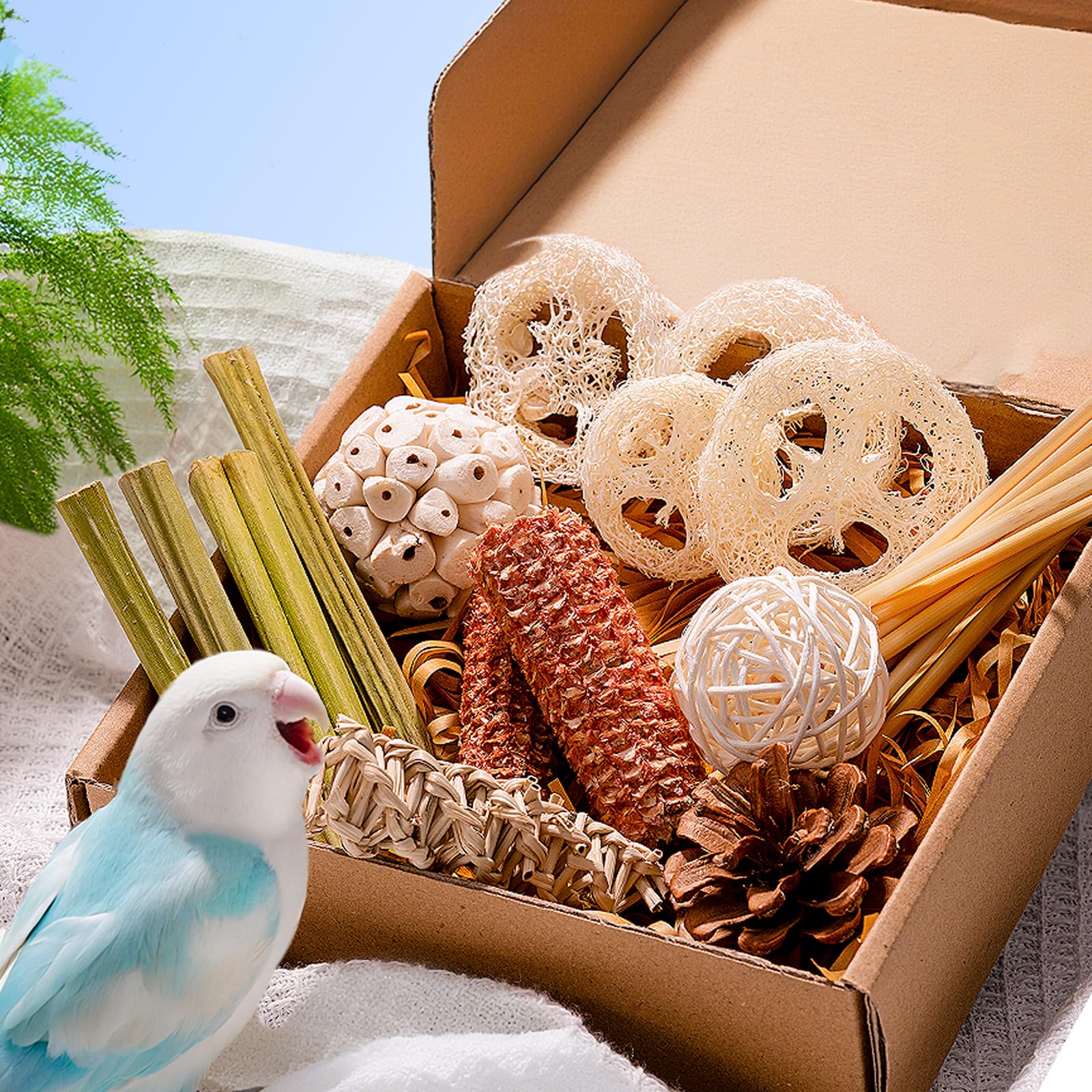 Ultimate 30-Piece Natural Bird Toy Bundle: Foraging, Chewing, and Climbing for Small Parrots