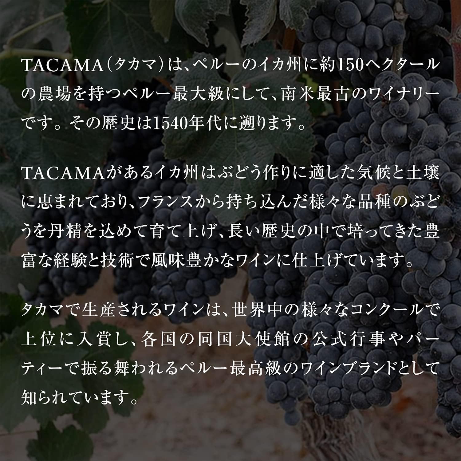 タカマ 赤ワイン オリヘン マルベック アンド マルベック 750ml ORIGEN Malbec＆Malbec TACAMA