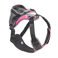 Julius-K9, Pettorina IDC Longwalk