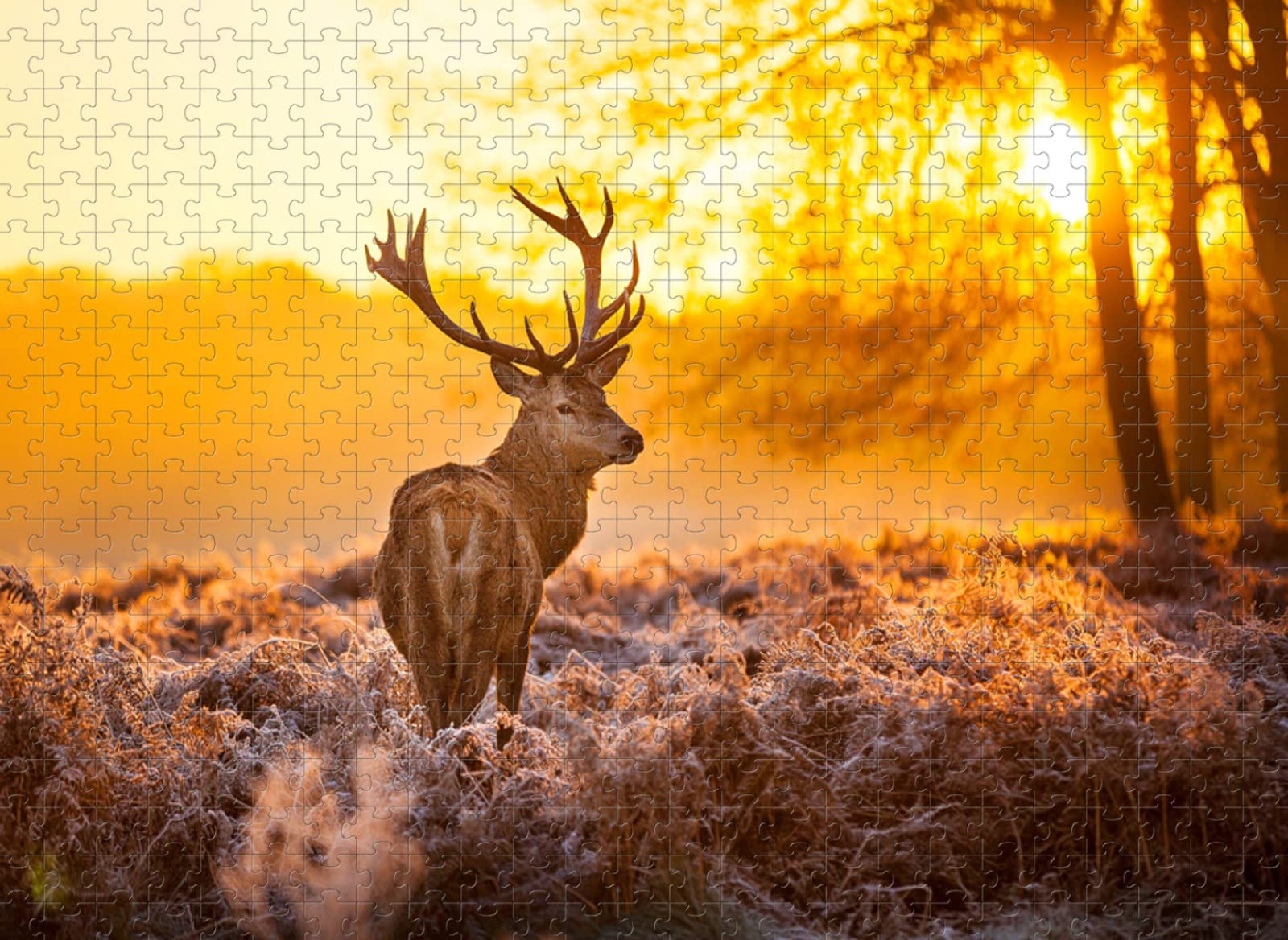 Puzzle da 1000 pezzi Cervi al tramonto I migliori regali per le vacanze educative di famiglia e amici