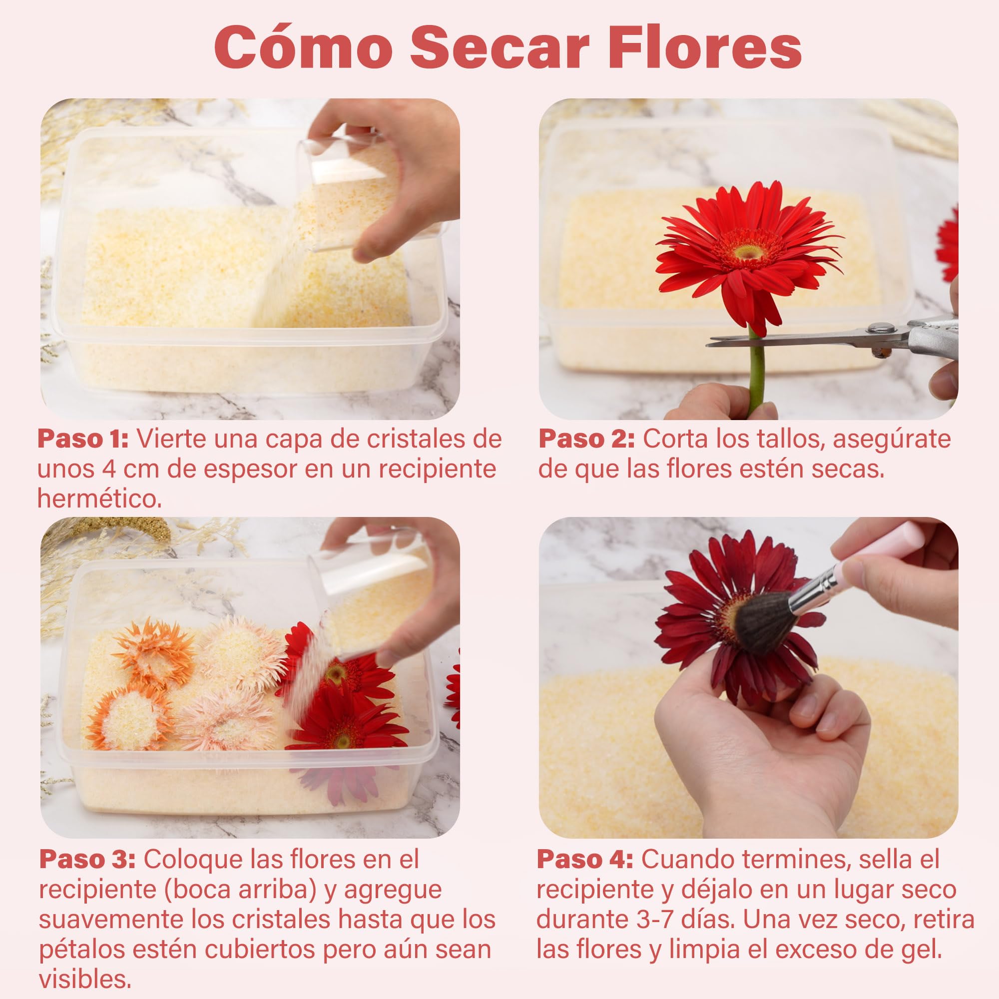 LotFancy Gel de Sílice para Secar Flores, Cristales de Sílice que Indican el Color de 6 Libras (2.72KG) para Almacenamiento de Ramos de Boda