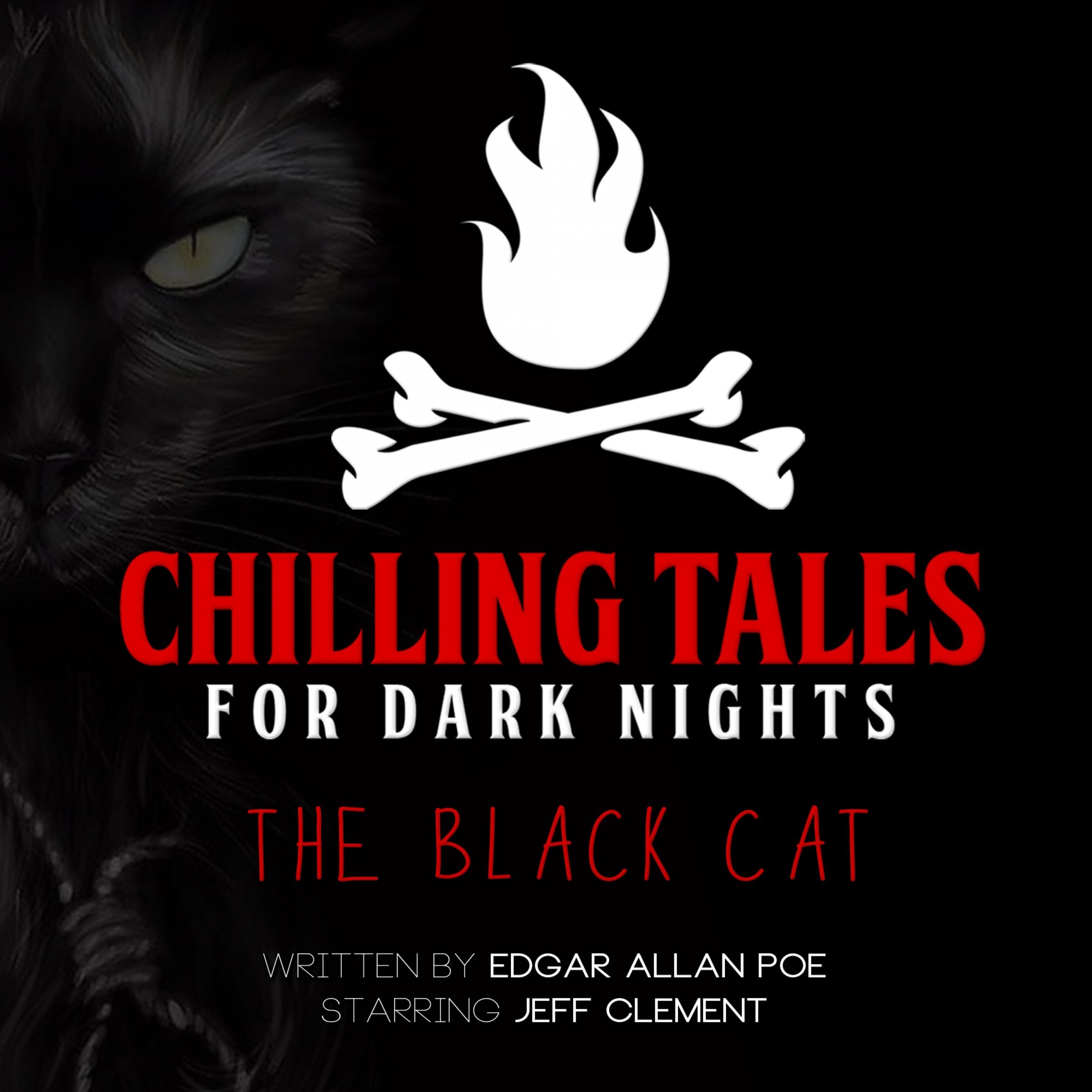 Cover art for The Black Cat (Chilling Tales for Dark Nights)