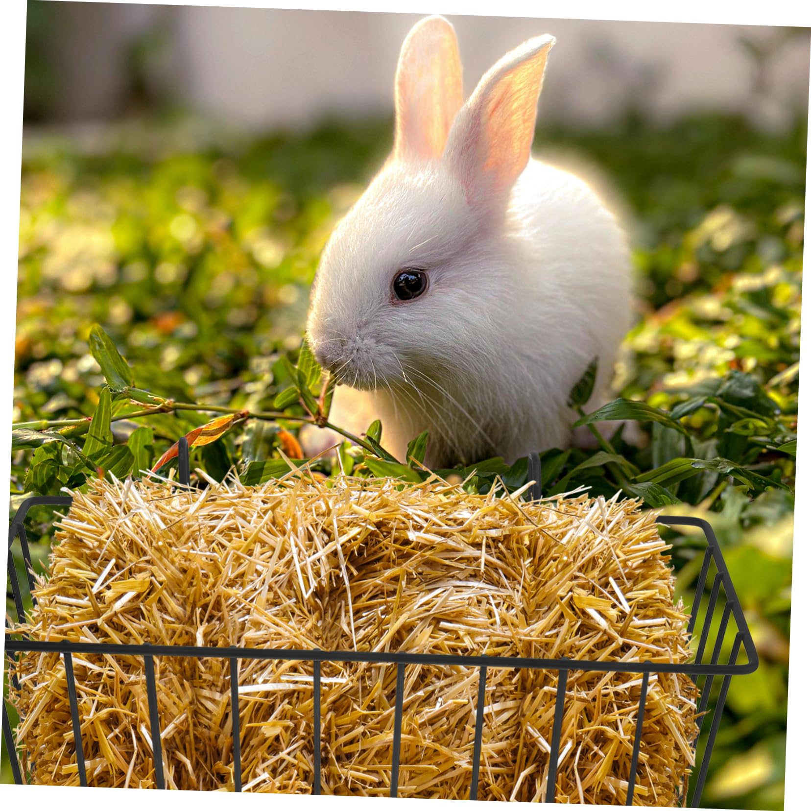 UKCOCO 2 Estantes Colgantes de Hierro Negro para Alimentador de Heno de Conejos y Mascotas Pequeñas, Plegables y Versátiles para Jaulas