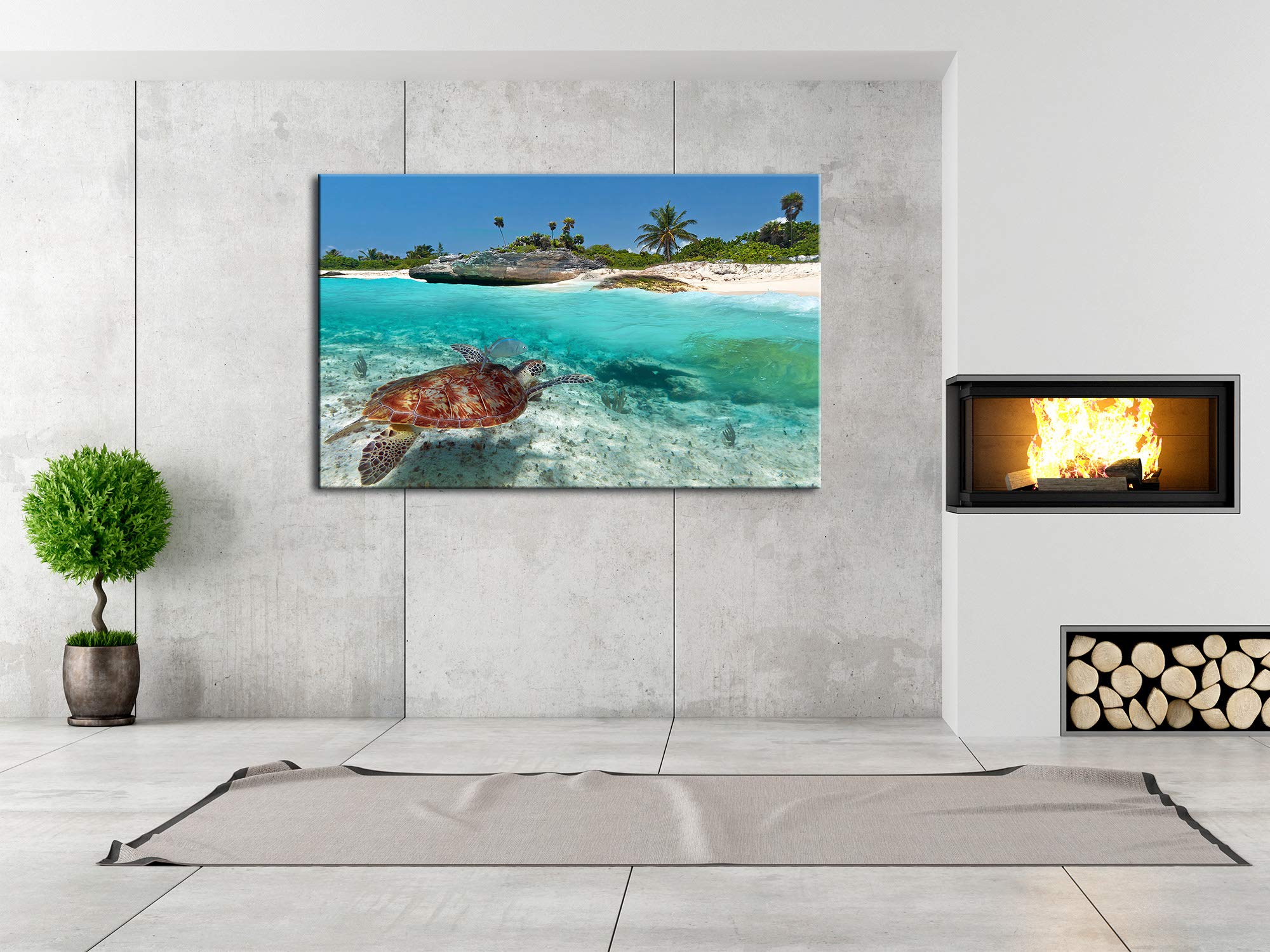 DECLINA Tableau Tortue Marine - Impression Photo Paysage sur toile décoration murale - Déco maison, cuisine, salon, chambre adulte - 80x50 cm