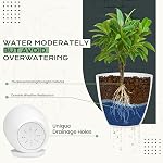 Utopia Home Boîte de 10 - Pots de plantes en plastique - Planteurs pour Plantes Intérieures Saucer Tray - Pots de chambre de bébé à l'intérieur avec trous de drainage, pot sucillant (blanc)