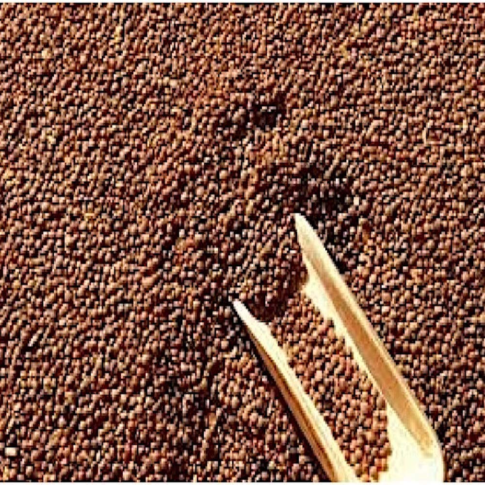 Lenticchie di Ustica Kg.1,80 (4 sacchetti da 450 gr.cadauno) Tenerissime