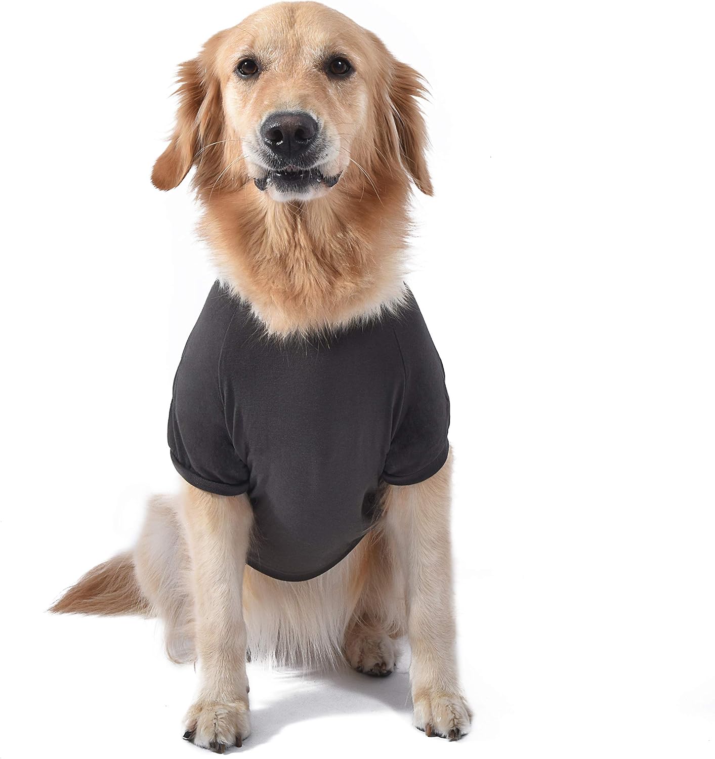 Star Wars for Pets Retro Logo Dog Tee | Star Wars Dog Shirt for Small Dogs | Size X-Small | Soft, Cute, and Comfortable Dog Clothing and Apparel, Cute Dog Clothes