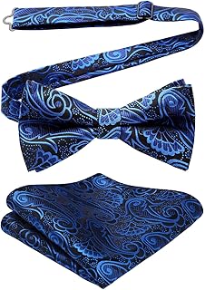HISDERN Bow Ties for Men Bow Tie Pre-tied Paisley Bowtie and Pocket Square Set Formal Men's Bow Ties for Wedding Party