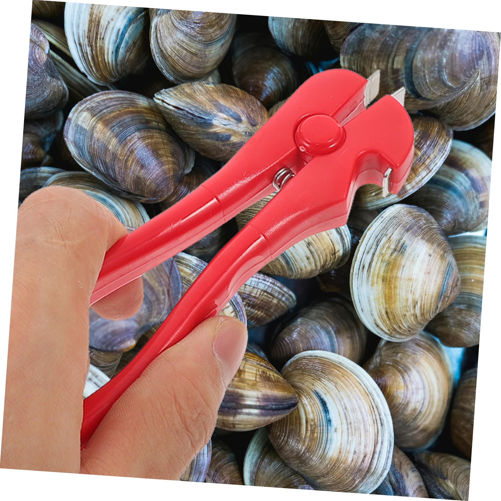CIYODO 2pcs Clam Opener Seafood Clamp Tool Shell Opening Device for Home and Restaurant Use Easy to Clean Design for Clam and Oyster Preparation