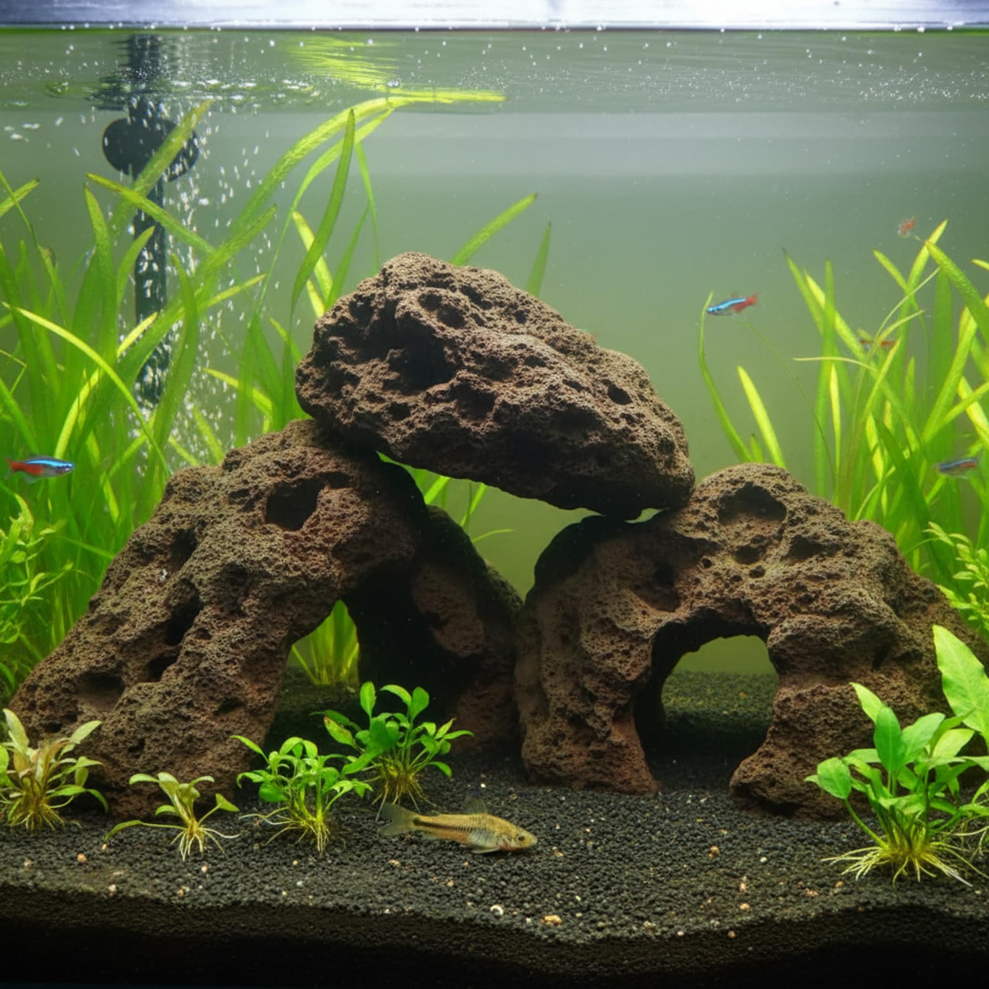 Lava Saunasteine 25 kg – Naturbelassenes Vulkangestein aus der Eifel (100–200 mm), vielseitig für Sauna, Garten & Aquarium
