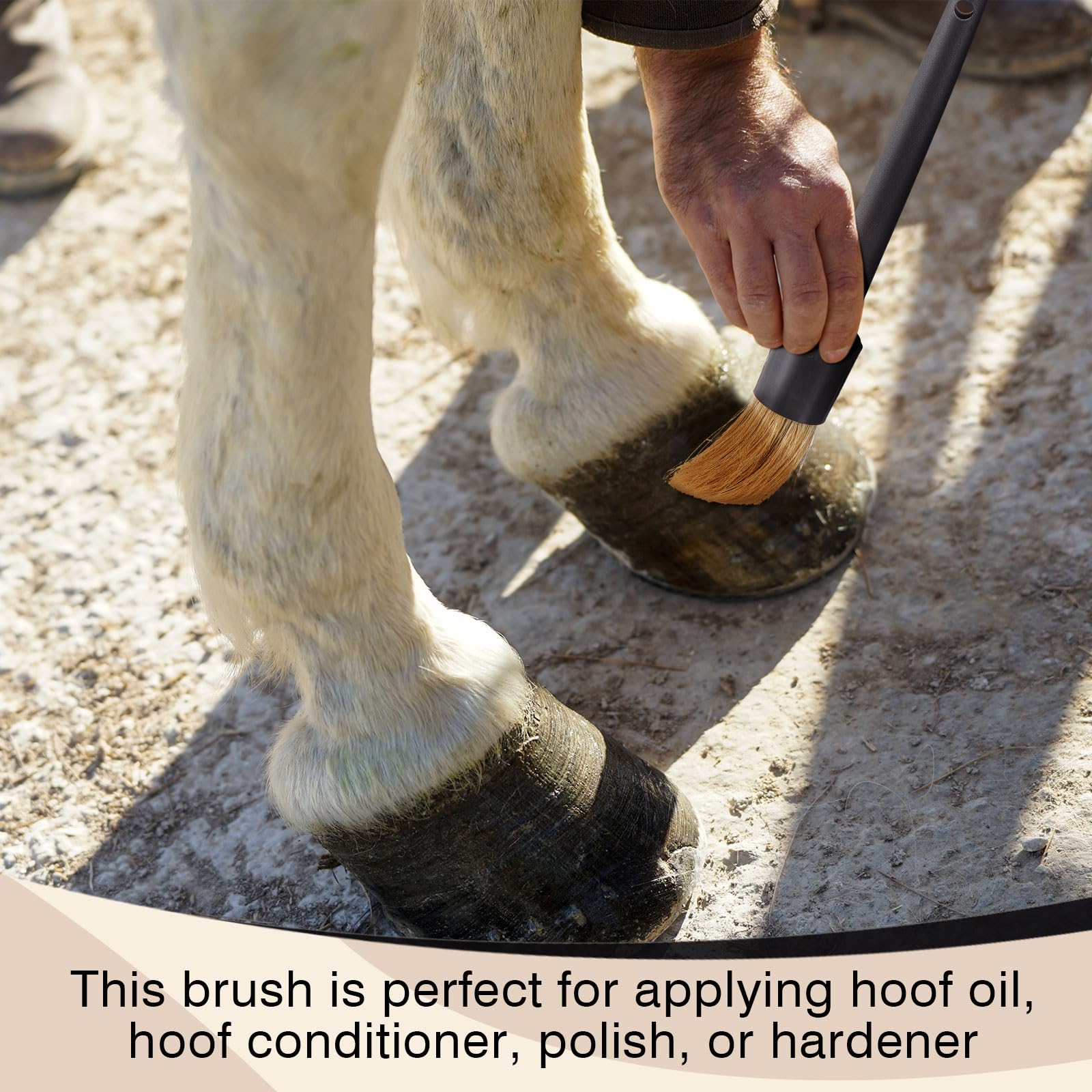 Ferrochef 2 Set Hoof Oil Brush for Horses with Cap Black for Horse Hoof Care to Restore Dry and Fragile Hooves - image 6