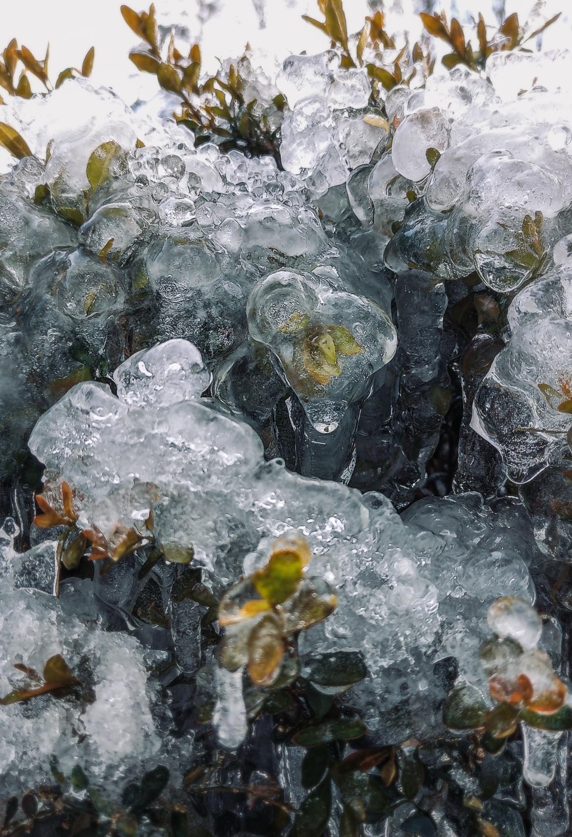 Quality photos, good price.