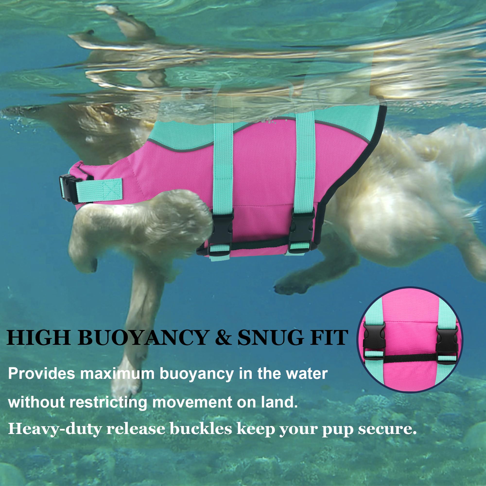 Dogcheer Gilet de sauvetage réglable pour chien, motif requin mignon pour la natation, le bateau avec flottabilité supérieure et poignée de sauvetage, gilet de flottaison réglable pour chiot, chiens