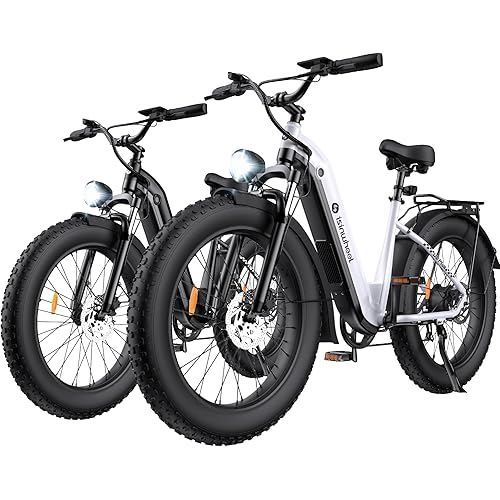 isinwheel U8 Electric Bike for Adults,1000W Peak Motor Ebike,Max 20/28MPH 75-105Miles Range Electric Bicycle,48V 13AH/18AH Battery Commuting 20" Step Thru Fat Tire Ebikes for Adults,7 Speed Gearing