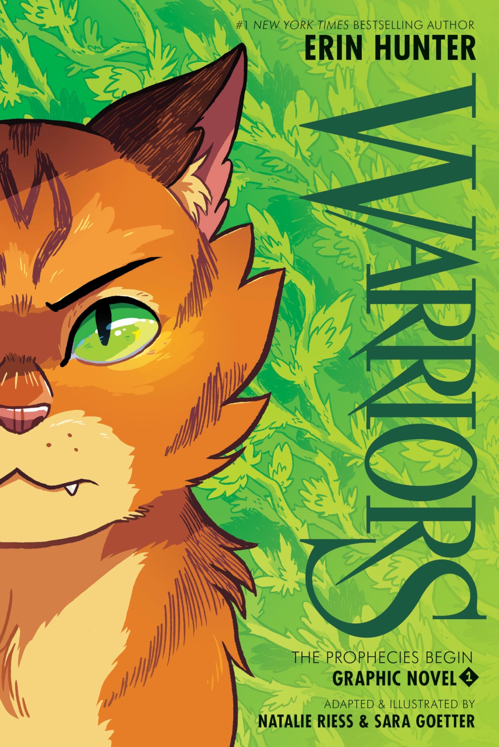 Warriors 1: The Prophecies Begin
