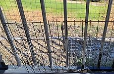 Review Image by Sal Sal