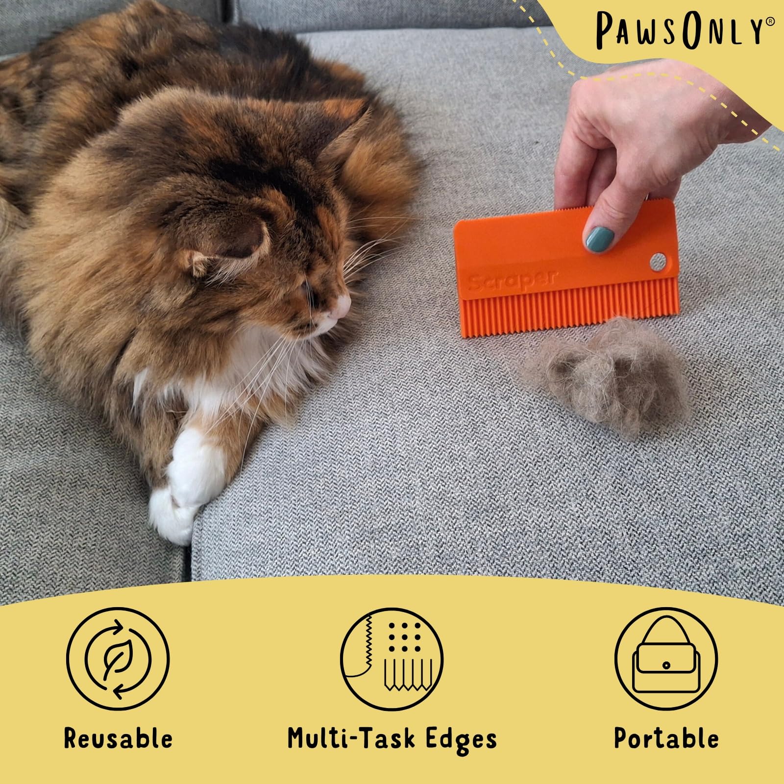 PawsOnly, Orange - Image 2