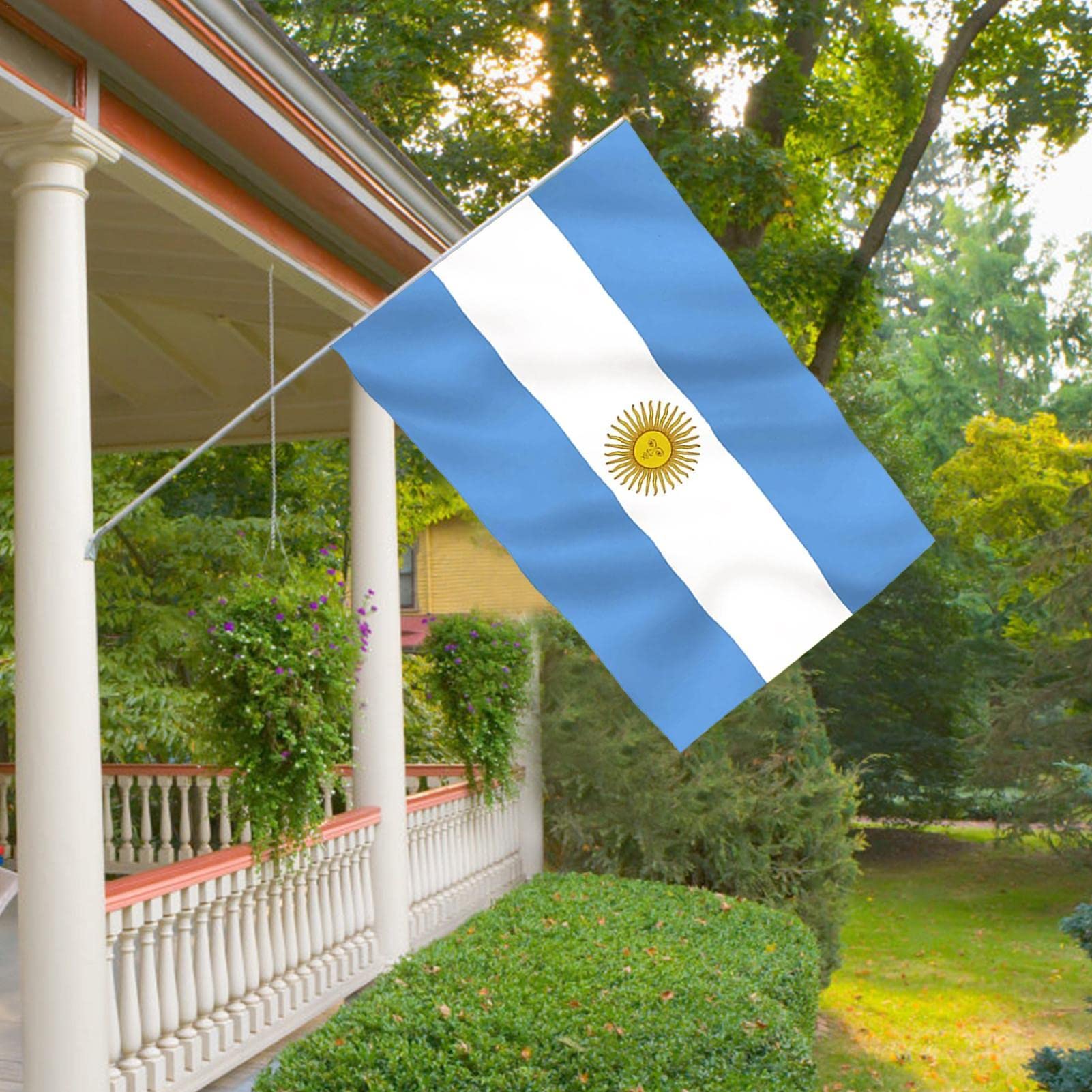 Operitacx 40 Pz Bandiera Dell'argentina Attaccare Le Bandiere Del Paese Bandiere Tenute in Mano Piccola Bandiera Dell'argentina Per L'esterno Mini