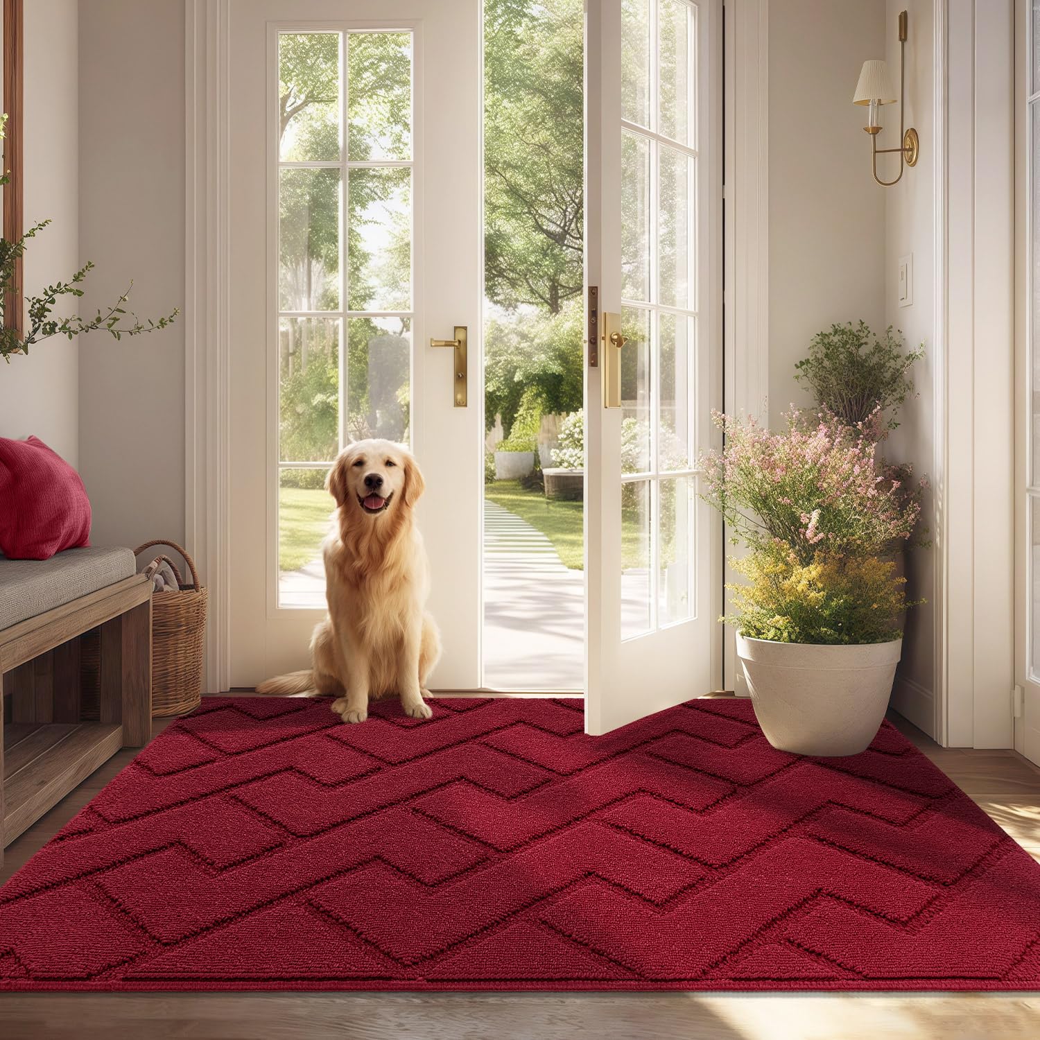 Biscpro Fußmatte Innen Außen Waschbar eingangsteppich innen Schmutzfangmatte rutschfest,Türmatte Innen Teppich für Eingang, Patio, Flur, Garten, Innen und Außen (Rot, 80 x 120 cm)