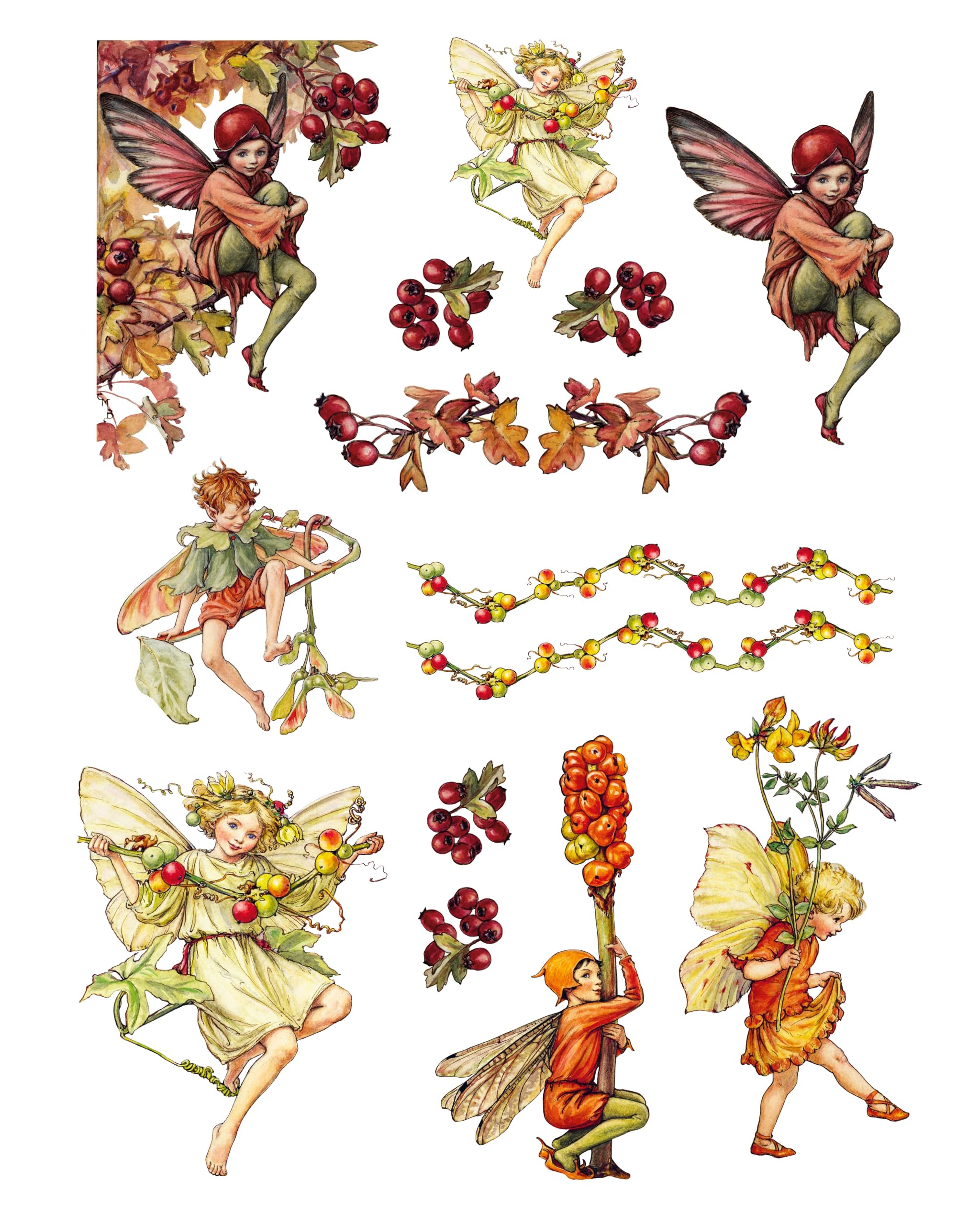 Cut Out and Collage Flower Fairies: Cut Out and Keep Flower Fairies for Arts and Craft
