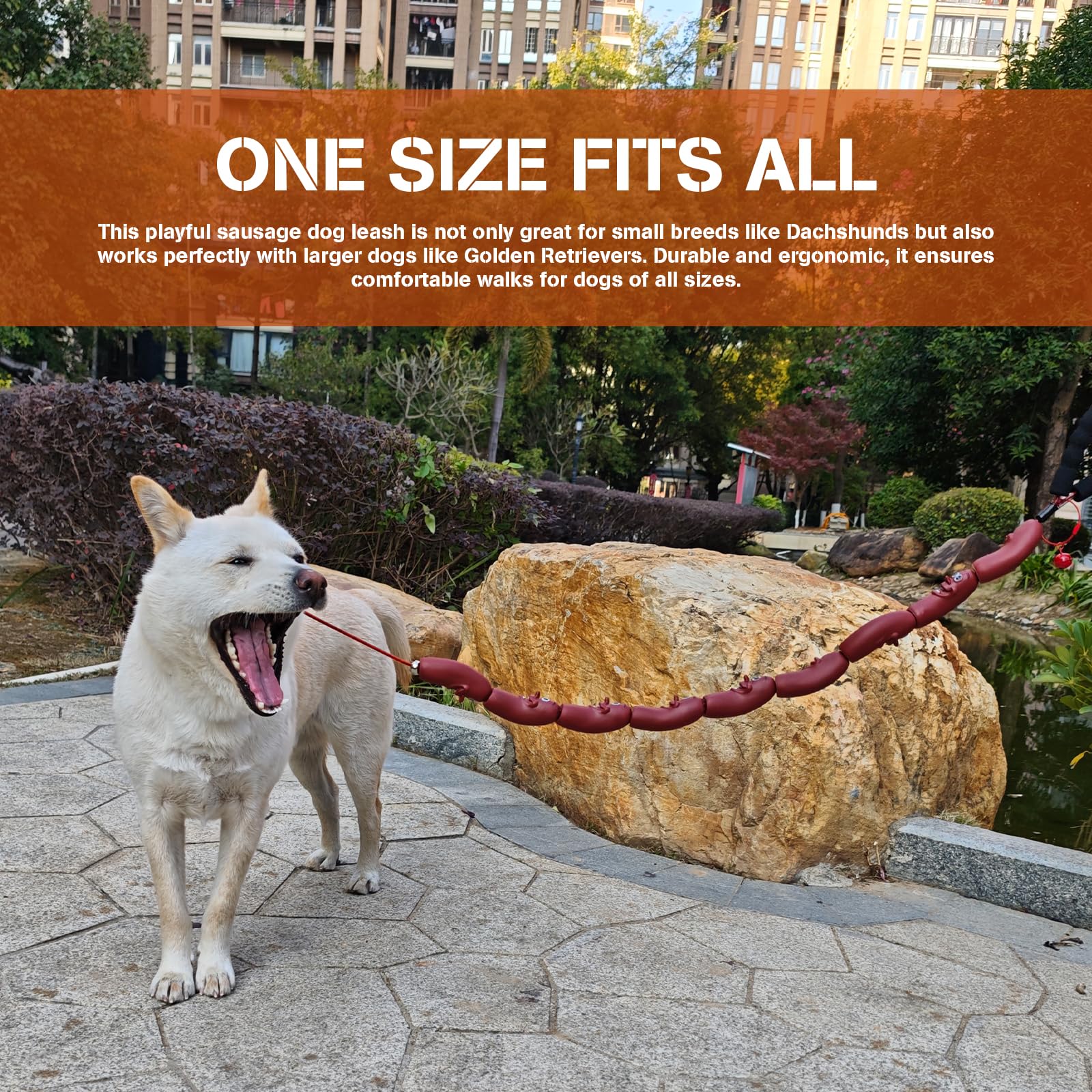 Correa divertida para perro salchicha, correa duradera para perros pequeños y medianos, cachorros, gatos y gatitos, perfecta para corgis y perros salchicha (rojo)