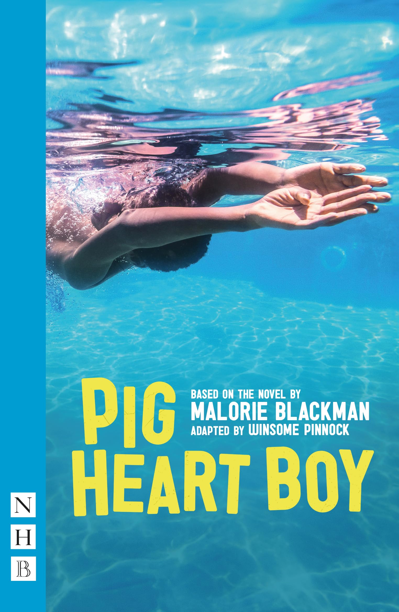 Pig Heart Boy (NHB Modern Plays)
