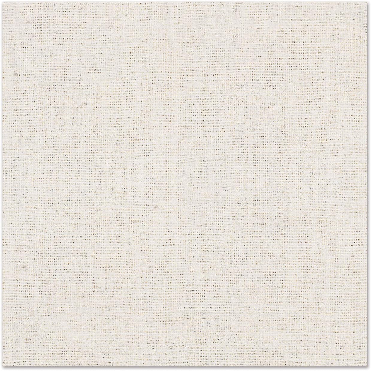 Beistle Club Pack Muslin Paper 2ply Paper Luncheon Napkins, Box Contains 192 Napkins