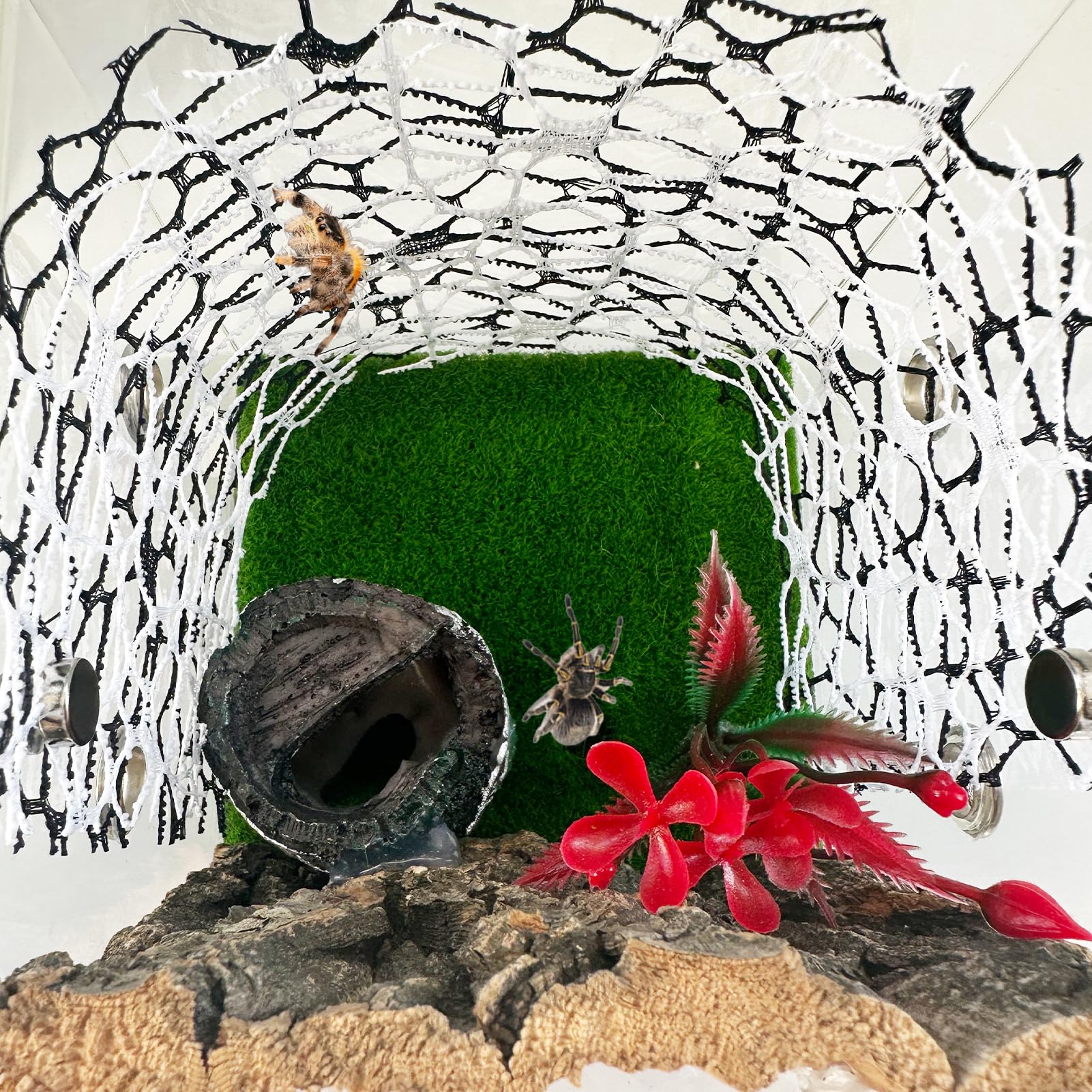 6 PCS Jumping Spider Habitat Accessories-Jumping Spider Webbed Moss Ribbon with Magnets for Spoods Jumping Spider Enclosure Spoods Climbing (Not Included The Jumping Spider Terrarium) (Black+White) - Image 4