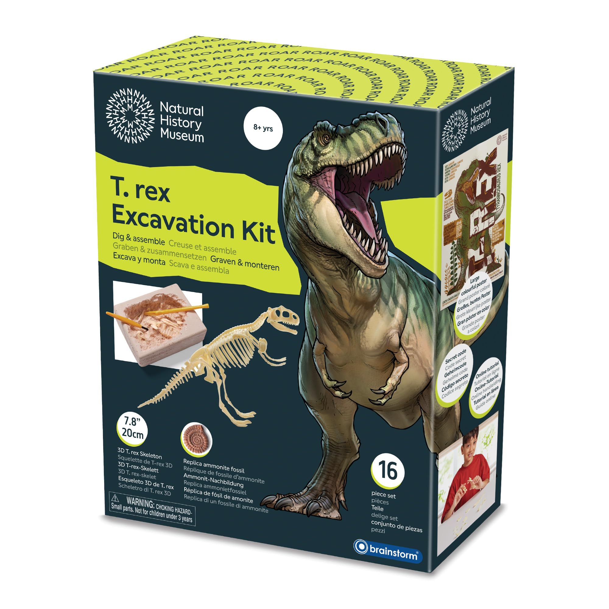 Natural History Museum T‑rex Excavation Kit – Hands‑On Dinosaur Dig Toy with 3D 20 cm Skeleton, Tools, Poster, Replica Ammonite Fossil, Online Tutorial & Fun Facts