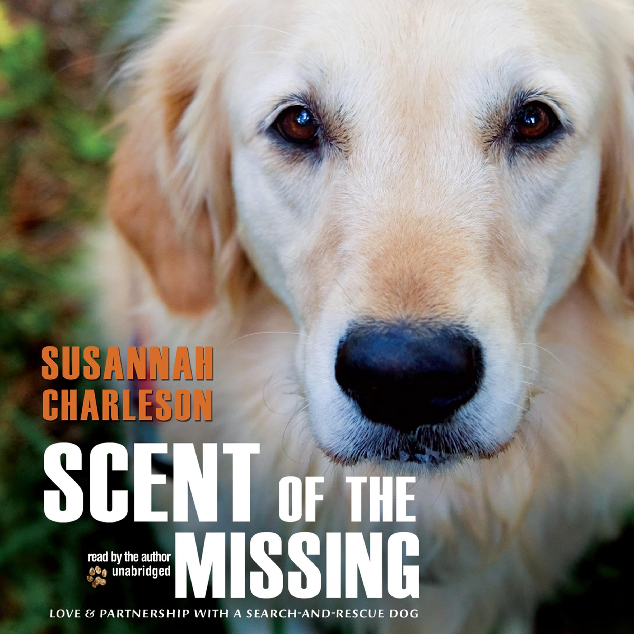 Cover art for Scent of the Missing