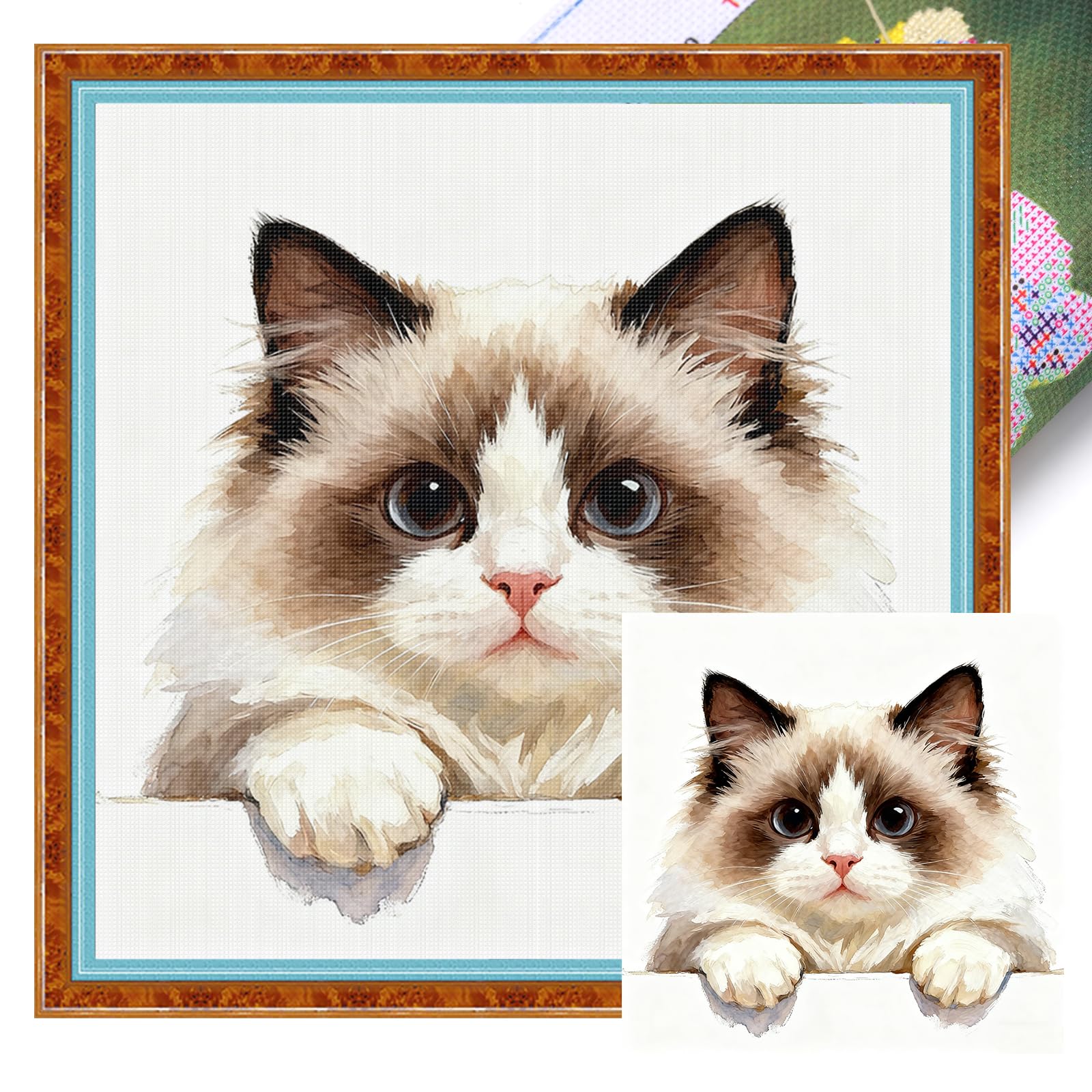 Poetrydraw 11Ctacc-11889__C__40x40 Ragdoll Cat Full 11Ct Diy Stamped Cross Stitch Kit 40X40cm For Adults Home Decor (11Ctacc-11889 C 40X40)