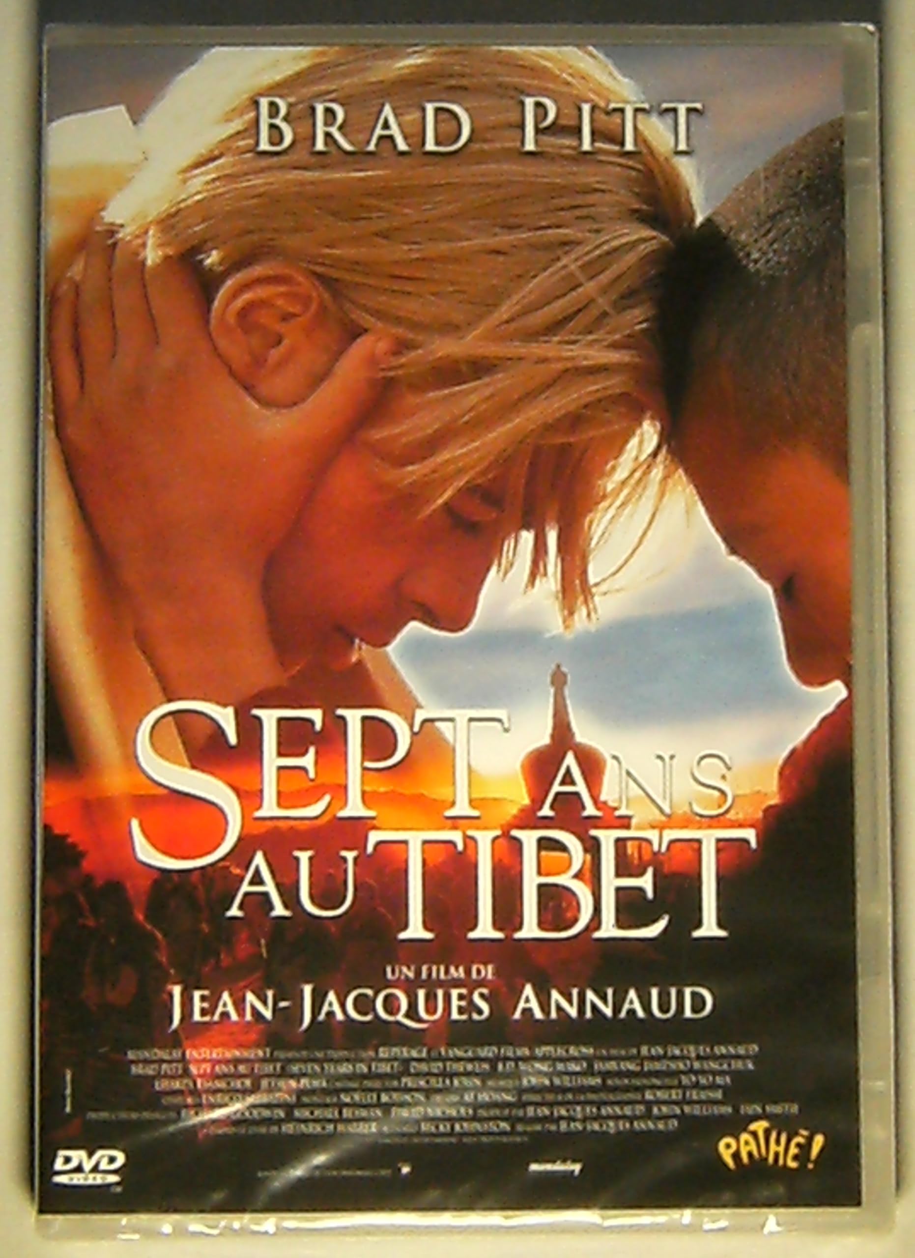 Sept ans au tibet [Francia] [DVD]: Amazon.es: Pitt, Brad, Thewlis