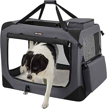 81JXxBlIiWL._AC_UF350,