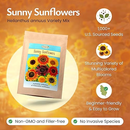 Miniatura 2 de Más de 1000 semillas de girasol para plantar, mezcla de 9 variedades de girasol, planta y cultiva un hermoso jardín de girasol, fácil de cultivar,