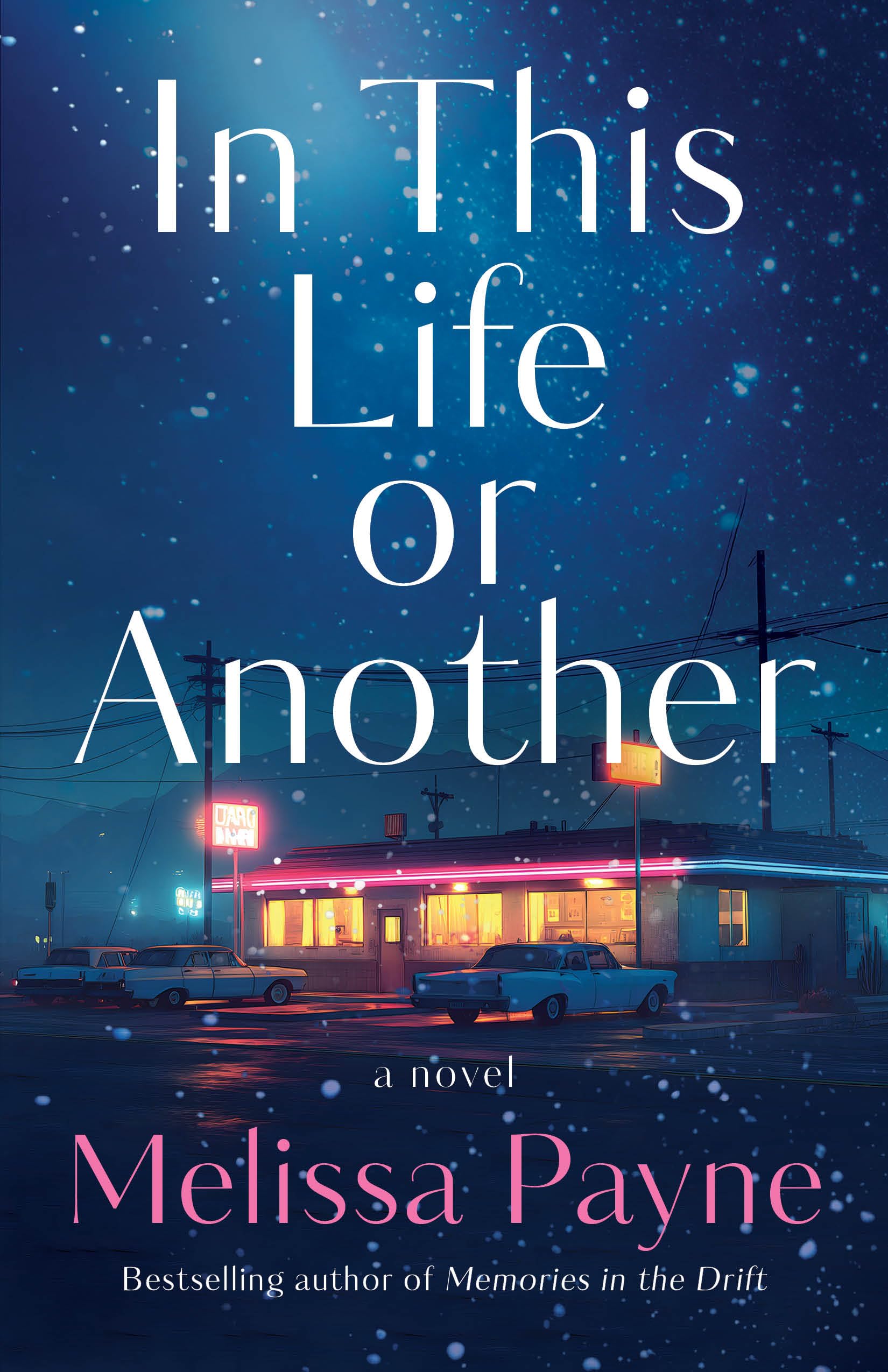 In This Life or Another: A Novel